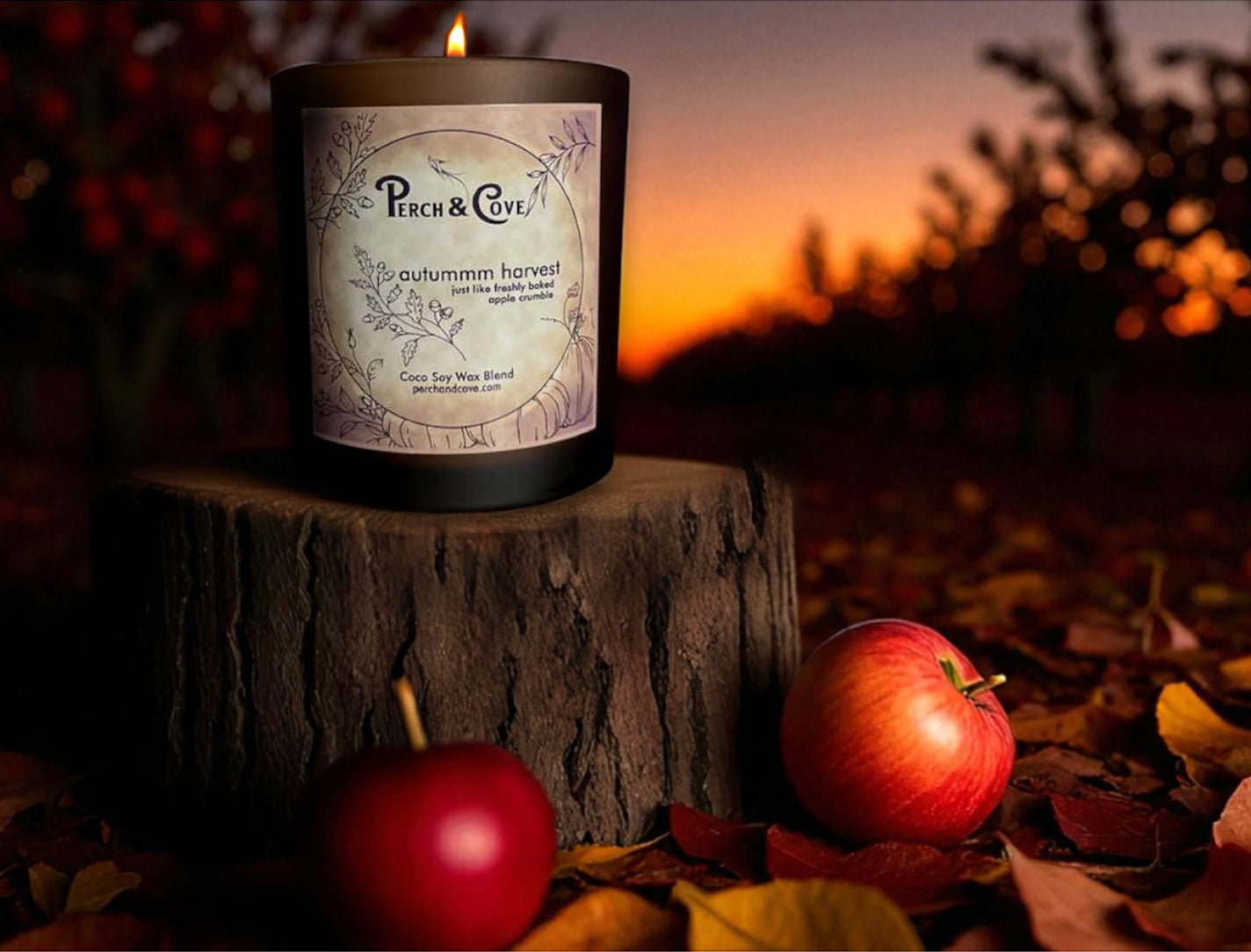 Autummm Harvest